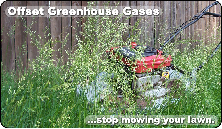 Offset greenhouse gases...stop mowing your lawn.
